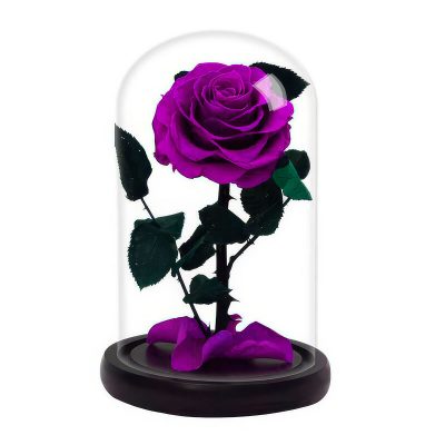 Роза в колбе фиолетовая